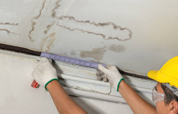 Affordable Ceiling Water Damage Repair solutions in Gerton, NC